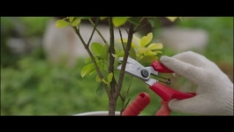 The Apartment Job (Hindi) - Season 01 Episode 11